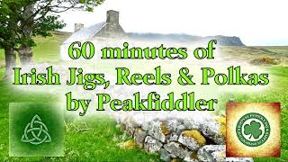 60 minutes Irish Jigs Reels amp Polkas [upl. by Elleiand708]