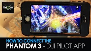 Dji Phantom 3  How to connect the DJI Pilot App [upl. by Lacram]