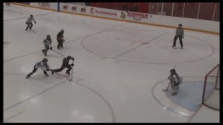 TOP 10 GOALS at 2018 Capital Ringette Classic finals CT rink [upl. by Nadaba]