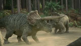 Triceratops Fight [upl. by Autrey]