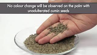 Testing Cumin Seeds adulteration with Grass Seeds  FSSAI [upl. by Lister746]