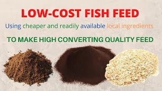 Low Cost Fish Feed Catfish Feed Formulation [upl. by Trude]