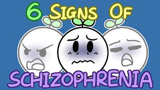 6 Signs Of Schizophrenia [upl. by Acceber753]