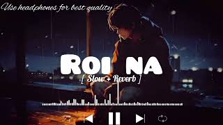 Roi Na Lofi song  SlowedReverb   ninja ‎LOFIMusic0304 [upl. by Anear213]