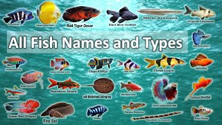 All Fish Names and Types in 2 minutes [upl. by Refotsirc]