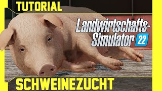 LS 22 Schweine Tutorial Kurz leicht und verständlich erklärt [upl. by Erusaert]