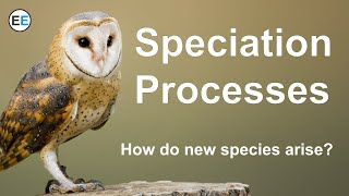 Speciation Processes  How do new species arise [upl. by Nawk]