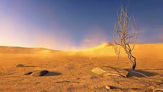 No copyright video desert scenes background footage [upl. by Nnoj]