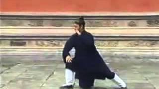 WUDANG TAICHI Quan 64 Forms by Wudang Master Tian Liyang [upl. by Tristis]