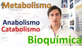 Metabolismo y Rutas metabólicas Anabolismo y Catabolismo EN 11 MINUTOS [upl. by Dunning]