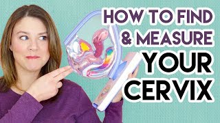 How to Find and Measure Your Cervix [upl. by Odab]