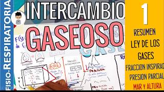 INTERCAMBIO DE GASES Principios Físicos Gasometría nivel del Mar y ALTURA FisioRespiratoria1 [upl. by Eedeed]