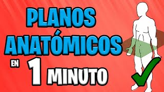 ✅ PLANOS ANATÓMICOS en 1 MINUTO 😱 [upl. by Iduj]