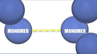 Monomers vs Polymers  Biology Tutorial [upl. by Charlot219]