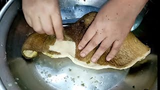 How to Clean Beef Tripe Easily  Cleaning Tripe in few minutes  Beef Tripe Cleaning by Jan Cooking [upl. by Nueormahc]