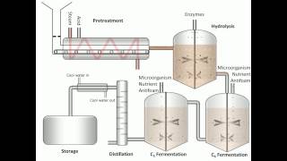 Process of Fermentation [upl. by Diogenes883]