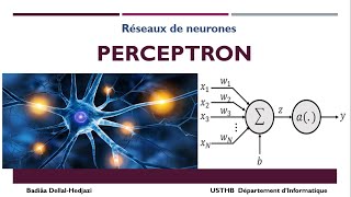 Le perceptron  Réseau de neurones simple [upl. by Cleaves]