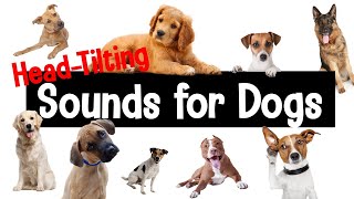 Sounds for Dogs  HeadTilting Sounds Your Dog Will Love [upl. by Avram]