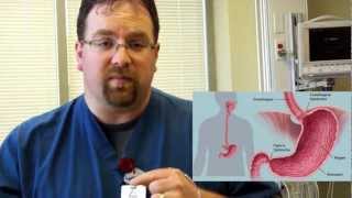 Esophageal Manometry Demonstration [upl. by Adamek]