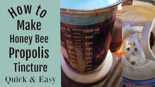 How to Make a Bee Propolis Tincture Quick and Easy [upl. by Eilloh864]