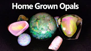 Can you GROW an Opal [upl. by Eibbed102]