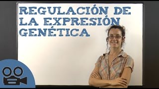 Regulación de la expresión genética [upl. by Jermyn436]