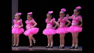 3 Year Old Ballet Dance Classes For Toddlers Champaign [upl. by Nygem]