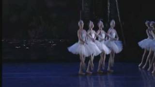 Swan Lake Act II  Cygnets Dance [upl. by Blight]