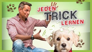 So lernt dein Hund JEDEN Trick Hundetricks leicht gemacht [upl. by Alleuol365]