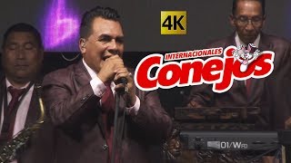 El Norti Rollo  1 4K  Internacionales Conejos [upl. by Okoy]