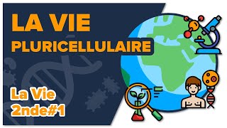 La vie pluricellulaire  SVT  LA VIE 2nde 1 Mathrix [upl. by Guillemette]