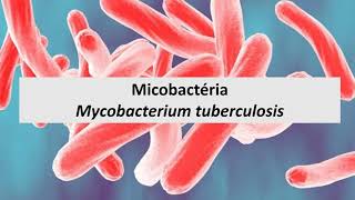 Mycobacterium under microscope afb positive [upl. by Inessa149]