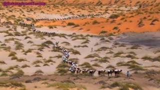 Touareg Music  Sahara desert Music [upl. by Thin]