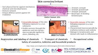 Skin Irritation and Corrosion [upl. by Bilat107]