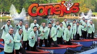 Internacionales Conejos  Concierto En Vivo [upl. by Giffard25]