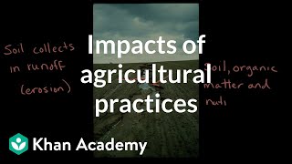 Impacts of Agricultural Practices Land and water use AP Environmental science Khan Academy [upl. by Millhon438]