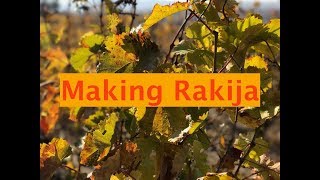 Making Rakija [upl. by Charisse]