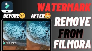 How To Remove Filmora Watermark  3 METHODS [upl. by Nahtan]