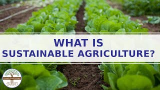 Sustainable Farming Explainer Video Sustainable Agriculture [upl. by Ellesij]