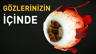 Gözlerinizin İçinde Neler Olur [upl. by Thgiwed]