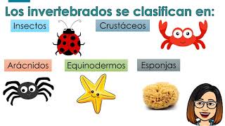 Los animales vertebrados e invertebrados similitudes y diferencias [upl. by Maxama]