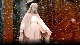 Immaculate Mary w lyrics  Catholic Hymn [upl. by Ainar]