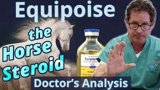 Equipoise the Horse Steroid  Doctors Analysis of Side Effects amp Properties [upl. by Lancelle]