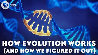 How Evolution Works And How We Figured It Out [upl. by Nwahsav]