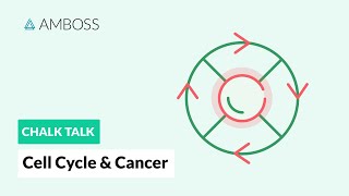 Cell Cycle and Cancer Phases Hallmarks and Development [upl. by Ahsei847]