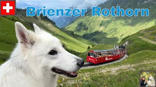 Brienzer Rothorn train ride  mountain hotel [upl. by Aihsened670]