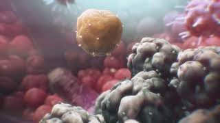 CAR T Cell Therapy Explained Animation  City of Hope [upl. by Macdonald330]