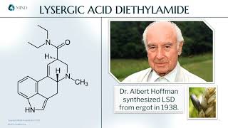 Elements of Science  Lysergic Acid Diethylamide [upl. by Ynattyrb21]