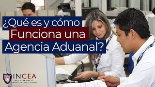 ¿Qué es y Cómo Funciona una Agencia Aduanal [upl. by Cinda]