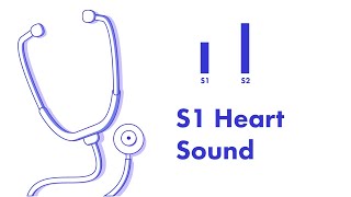 Fixed Split S2  Heart Sounds  MEDZCOOL [upl. by Latona]